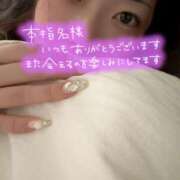 ヒメ日記 2025/04/26 02:23 投稿 うた 石亭