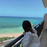 ヒメ日記 2025/04/26 09:02 投稿 うた 石亭