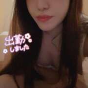 ヒメ日記 2025/04/29 09:54 投稿 うた 石亭