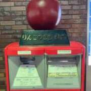 ヒメ日記 2025/05/12 15:01 投稿 うた 石亭