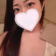 ヒメ日記 2025/05/22 22:36 投稿 うた 石亭