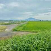 ヒメ日記 2025/08/01 08:25 投稿 うた 石亭