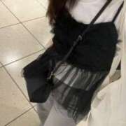 ヒメ日記 2025/08/10 13:15 投稿 うた 石亭