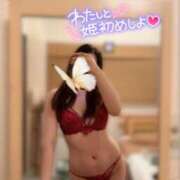 ヒメ日記 2026/01/22 16:13 投稿 うた 石亭