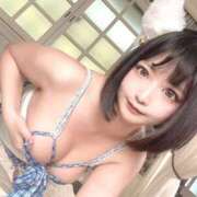 ヒメ日記 2025/09/16 10:09 投稿 もこ ウルトラドリーム