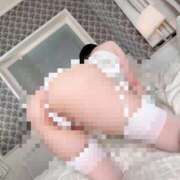 ヒメ日記 2026/09/12 23:13 投稿 もこ ウルトラドリーム