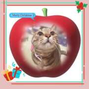 ヒメ日記 2024/12/24 18:01 投稿 ゆうか 奥様の実話 谷九店