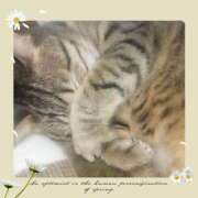 ヒメ日記 2025/01/14 22:20 投稿 ゆうか 奥様の実話 谷九店