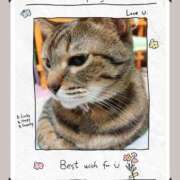 ヒメ日記 2025/03/18 00:14 投稿 ゆうか 奥様の実話 谷九店