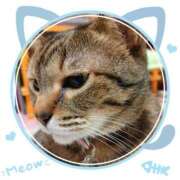 ヒメ日記 2025/04/08 15:07 投稿 ゆうか 奥様の実話 谷九店