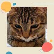 ヒメ日記 2025/10/14 16:01 投稿 ゆうか 奥様の実話 谷九店