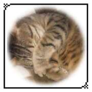 ヒメ日記 2025/10/28 16:34 投稿 ゆうか 奥様の実話 谷九店