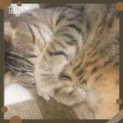 ヒメ日記 2026/03/03 17:26 投稿 ゆうか 奥様の実話 谷九店