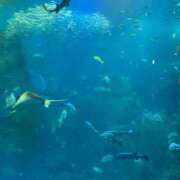 ヒメ日記 2025/12/30 08:15 投稿 りん 池袋マリン別館