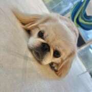 ヒメ日記 2025/10/06 15:24 投稿 ゆい アニバーサリー