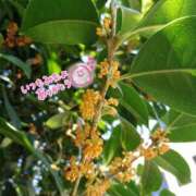 ヒメ日記 2025/10/18 22:19 投稿 ゆい アニバーサリー