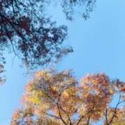 ヒメ日記 2025/11/15 12:25 投稿 ゆい アニバーサリー