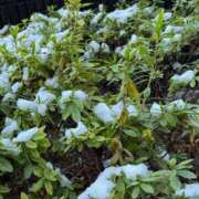 ヒメ日記 2026/01/03 16:51 投稿 ゆい アニバーサリー