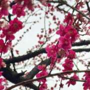 ヒメ日記 2026/03/01 15:03 投稿 ゆい アニバーサリー