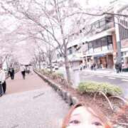 ヒメ日記 2026/04/14 20:11 投稿 春香(はるか)♥ドエロ美巨乳美女 美魔女コレクション