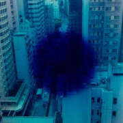 笹原ちさと 出勤してます。 五十路マダム愛されたい熟女たち 倉敷店（カサブランカグループ）