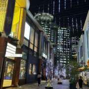 ヒメ日記 2024/12/05 18:25 投稿 夢野よる 麗しいマダム