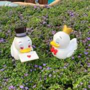 ヒメ日記 2025/06/30 11:44 投稿 はるか 東京デザインリング錦糸町店