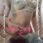 ヒメ日記 2025/02/05 16:06 投稿 紅(べに) カリビアンマッサージ 天使のゆびさき 岡山店