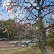 ヒメ日記 2025/03/06 12:52 投稿 紅(べに) カリビアンマッサージ 天使のゆびさき 岡山店