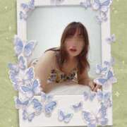 ヒメ日記 2025/03/29 19:04 投稿 紅(べに) カリビアンマッサージ 天使のゆびさき 岡山店