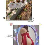 ヒメ日記 2025/04/05 17:04 投稿 紅(べに) カリビアンマッサージ 天使のゆびさき 岡山店