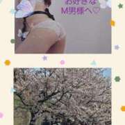 ヒメ日記 2025/04/08 21:20 投稿 紅(べに) カリビアンマッサージ 天使のゆびさき 岡山店