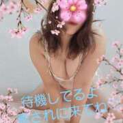 ヒメ日記 2025/04/11 12:50 投稿 紅(べに) カリビアンマッサージ 天使のゆびさき 岡山店