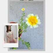 ヒメ日記 2025/04/21 18:24 投稿 紅(べに) カリビアンマッサージ 天使のゆびさき 岡山店