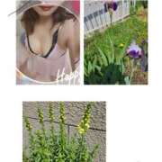 ヒメ日記 2025/05/03 12:06 投稿 紅(べに) カリビアンマッサージ 天使のゆびさき 岡山店