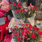 ヒメ日記 2025/05/11 17:04 投稿 紅(べに) カリビアンマッサージ 天使のゆびさき 岡山店