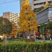 ヒメ日記 2025/11/19 12:06 投稿 紅(べに) カリビアンマッサージ 天使のゆびさき 岡山店