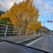 ヒメ日記 2025/11/28 12:20 投稿 紅(べに) カリビアンマッサージ 天使のゆびさき 岡山店