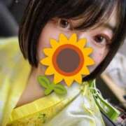 ヒメ日記 2025/09/08 22:42 投稿 のあ 人妻・若妻デリヘル レディプレイス