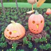 ヒメ日記 2025/09/25 09:49 投稿 のあ 人妻・若妻デリヘル レディプレイス