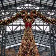 ヒメ日記 2025/11/13 18:48 投稿 のあ 人妻・若妻デリヘル レディプレイス