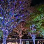 ヒメ日記 2025/11/17 09:45 投稿 のあ 人妻・若妻デリヘル レディプレイス