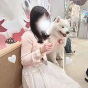 ヒメ日記 2026/02/17 11:15 投稿 花咲　まりえ OL精薬