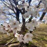 ヒメ日記 2025/04/07 20:03 投稿 ゆい若奥 未熟な若奥