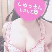 ヒメ日記 2025/01/28 12:06 投稿 春奈‐はるな【FG系列】 ほんとうの人妻　柏店