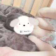 ヒメ日記 2025/02/20 23:01 投稿 春奈‐はるな【FG系列】 ほんとうの人妻　柏店