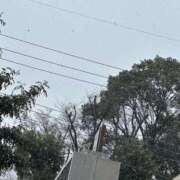 ヒメ日記 2025/03/06 13:00 投稿 春奈‐はるな【FG系列】 ほんとうの人妻　柏店