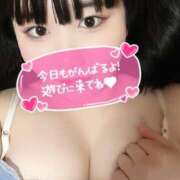 ヒメ日記 2025/11/15 12:08 投稿 春奈‐はるな【FG系列】 ほんとうの人妻　柏店