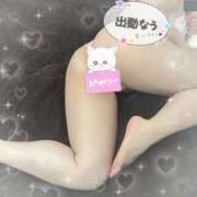 ヒメ日記 2025/05/19 16:47 投稿 春奈‐はるな【FG系列】 ほんとうの人妻　松戸店