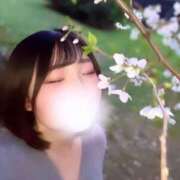 ヒメ日記 2025/04/11 13:20 投稿 みのり BUNNY（バニー）十三店